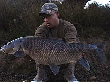 3261_Smallhead Barbel_Luciobarbus microcephalus.jpg 3261_Smallhead Barbel_Luciobarbus microcephalus.jpg